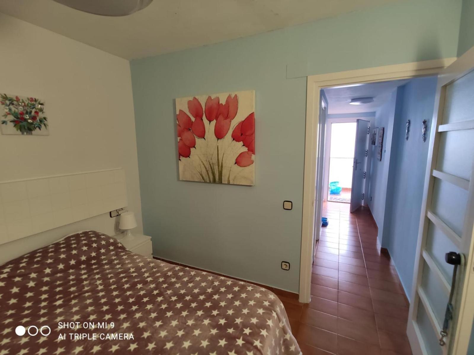 Apartamento Tossa ตอสซาเดมาร์ ภายนอก รูปภาพ